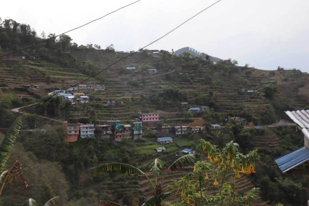 img 0073